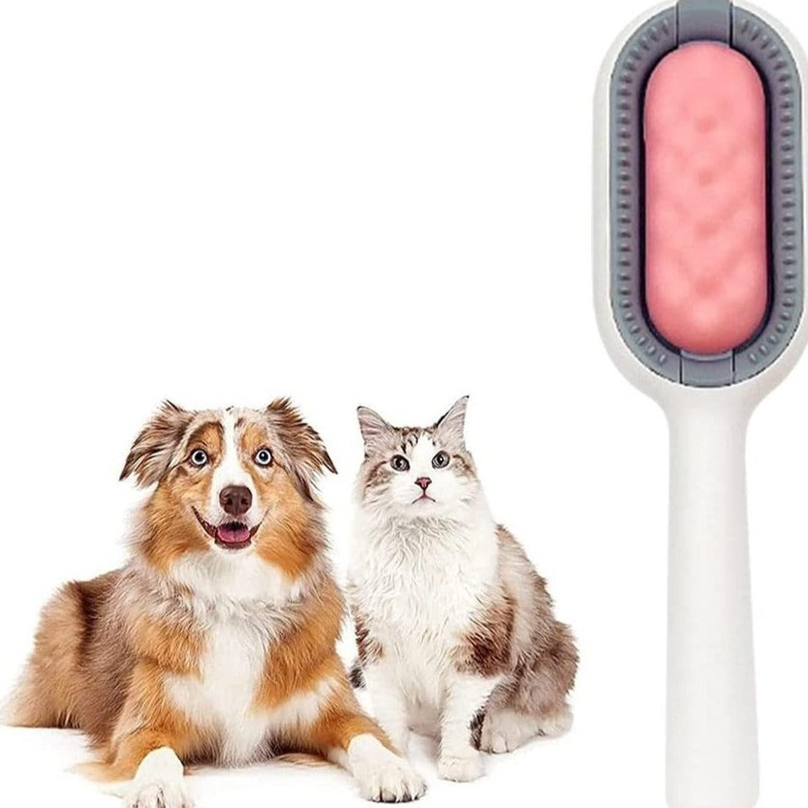 Brosse de toilettage pour animaux de compagnie